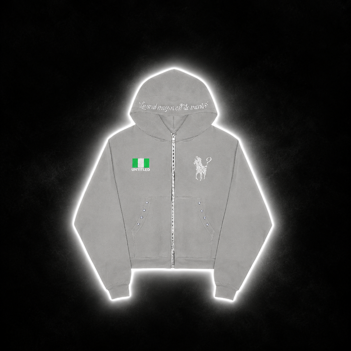 ?¿? LIGHT GREY HOODIE
